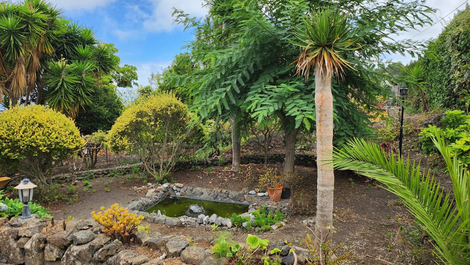 Vila Oasis Hill Botanical Garden Icod De Los Vinos Exteriér fotografie