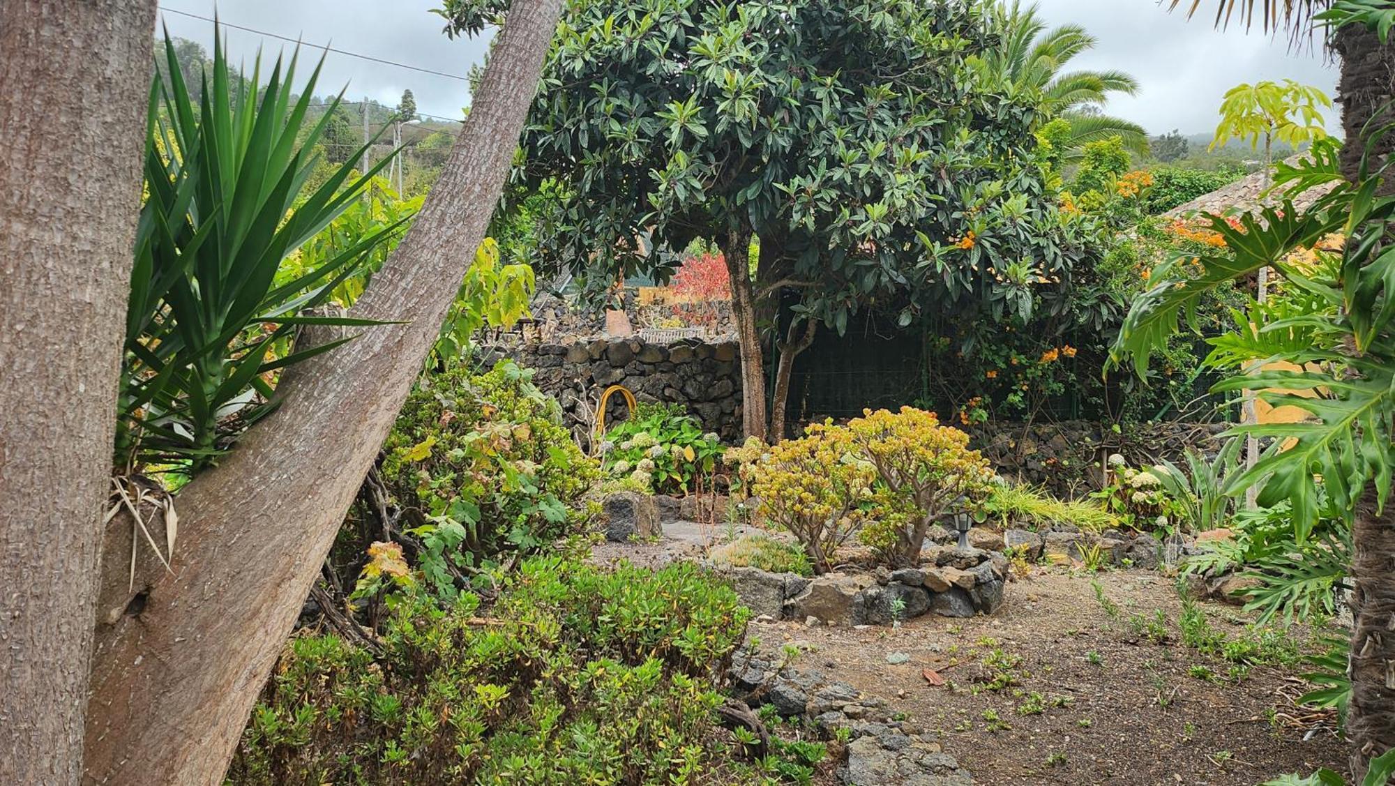Vila Oasis Hill Botanical Garden Icod De Los Vinos Exteriér fotografie