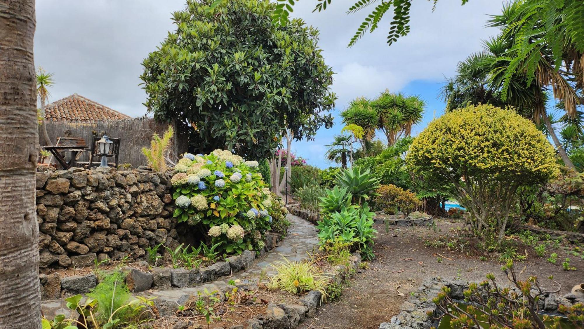 Vila Oasis Hill Botanical Garden Icod De Los Vinos Exteriér fotografie