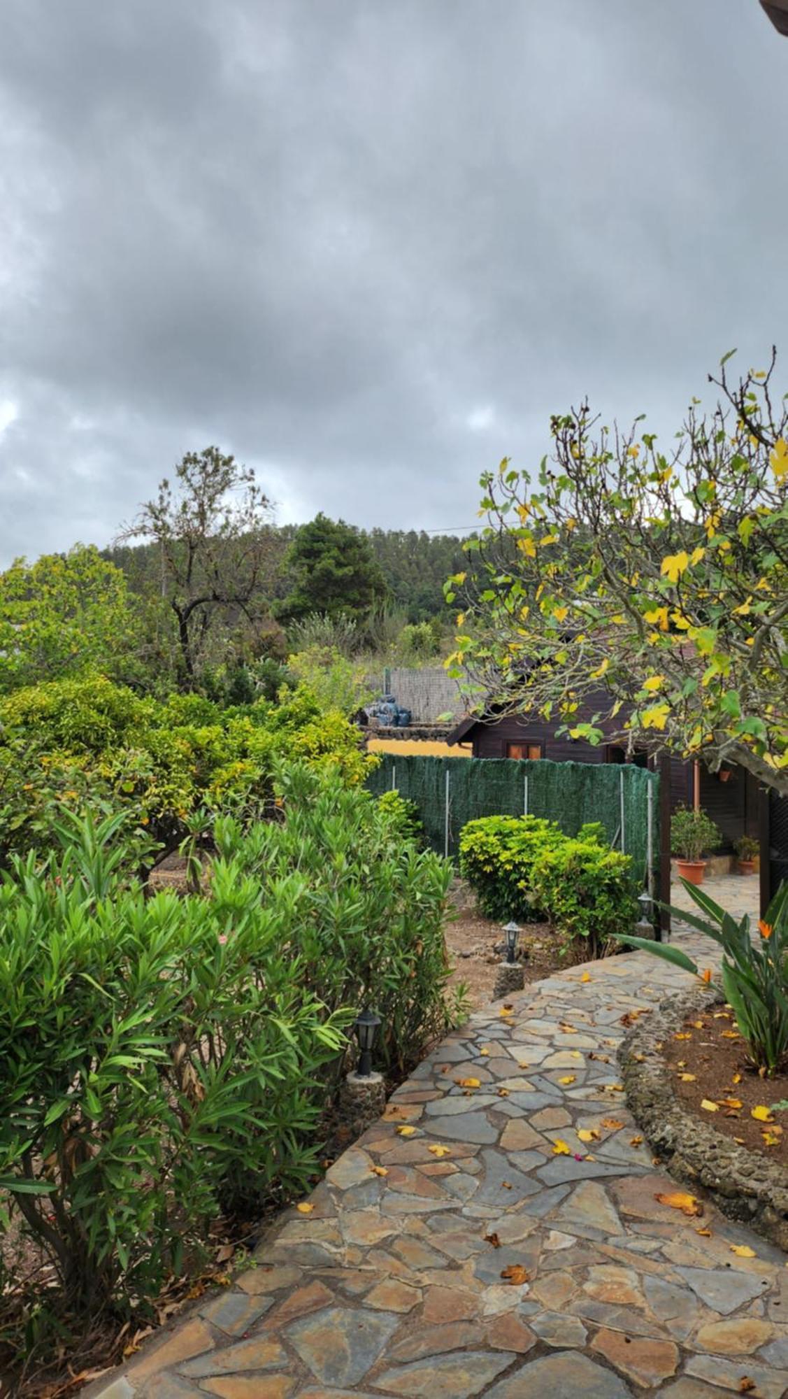 Vila Oasis Hill Botanical Garden Icod De Los Vinos Exteriér fotografie