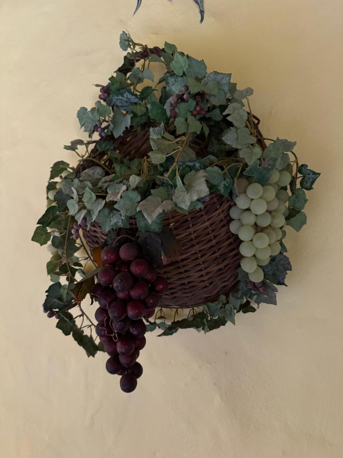 Vila Oasis Hill Botanical Garden Icod De Los Vinos Exteriér fotografie